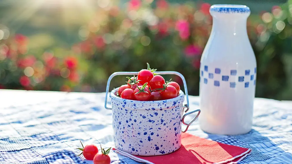 Czy pomidory tuczą? Obalamy popularny mit