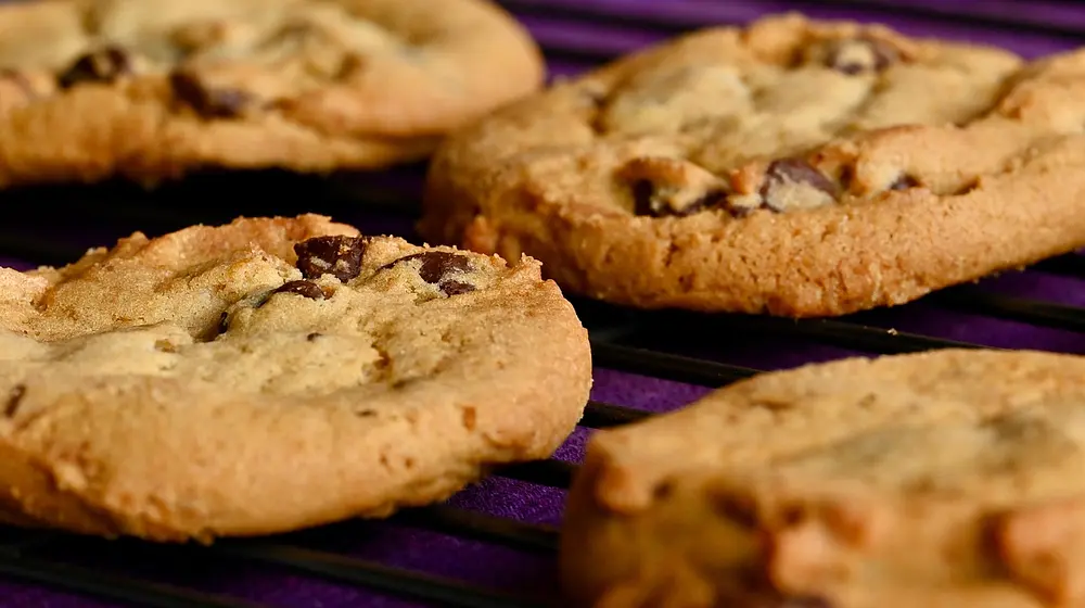 Jak obliczyć zapotrzebowanie kaloryczne?