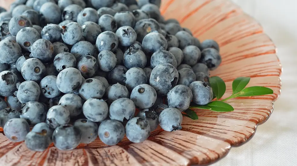 Ile kalorii ma borówka amerykańska?
