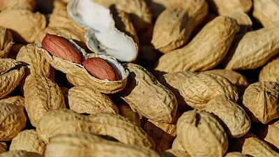 Czy orzeszki ziemne tuczą? Fakty i porady dietetyczne