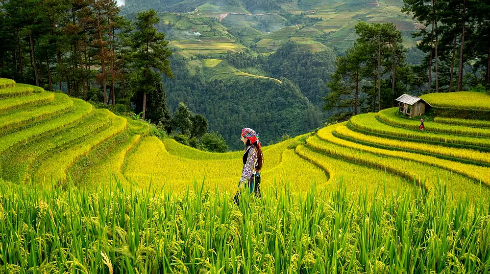 Czy wafle ryżowe tuczą? Sprawdzamy!