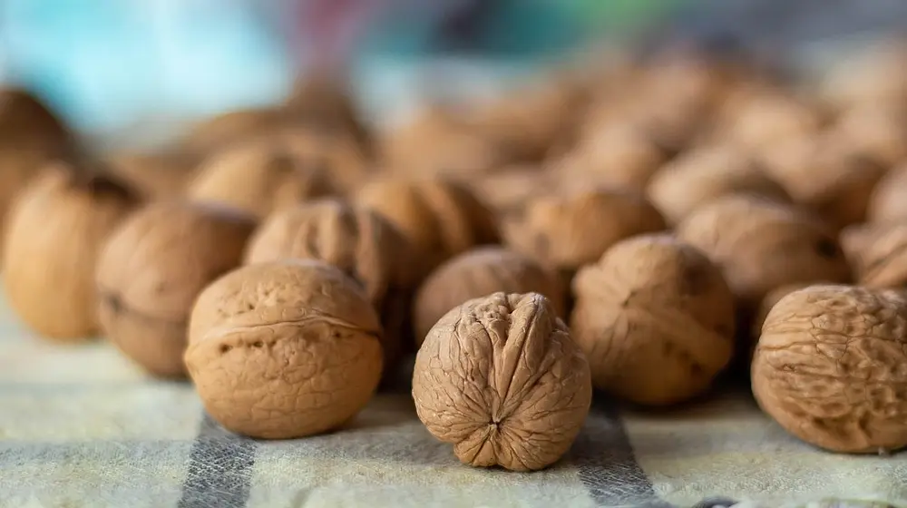 Czy orzechy włoskie tuczą? Sprawdzamy!