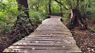 Odchudzanie brzucha: skuteczne ćwiczenia i dieta 2025