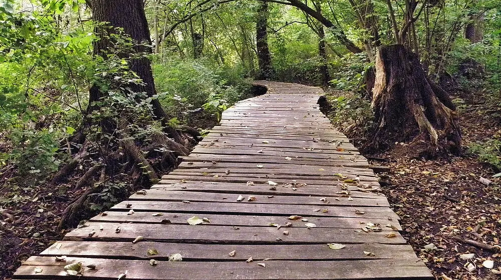 Jak schudnąć z brzucha? Ćwiczenia i porady