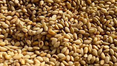 Czy sezam tuczy? Fakty o kaloriach i zdrowiu sezamu