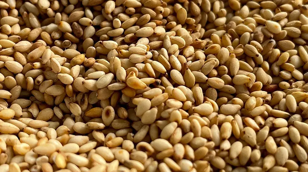 Czy sezam tuczy? Sprawdzamy fakty!