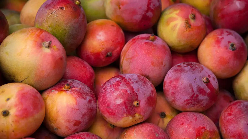 Ile kalorii ma mango? Wartości i właściwości