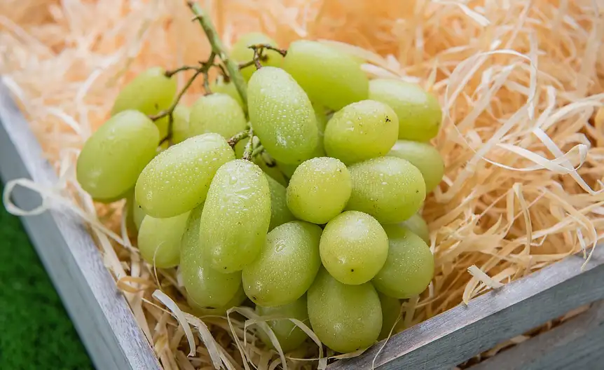 Wartosci odzywcze winogron