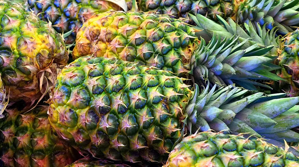 Ile kalorii ma ananas? Wartości odżywcze i porady dietetyczne