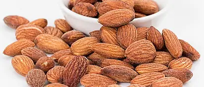 Czy słonecznik tuczy? Sprawdź fakty i porady