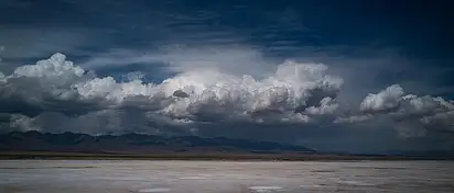 Czy paluszki tuczą? Fakty i porady