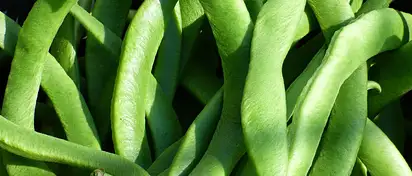 Ile kalorii ma fasolka szparagowa?