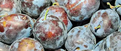 Czy śliwki tuczą? Fakty i mity