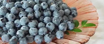 Ile kalorii ma borówka amerykańska? Sprawdź!