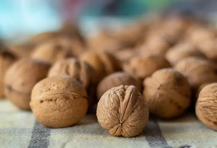 Czy orzechy włoskie tuczą? Fakty i porady