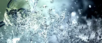 Czy wino tuczy? Fakt czy mit?