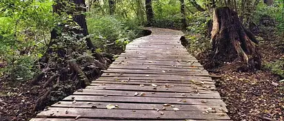 Jak schudnąć z brzucha? Skuteczne ćwiczenia