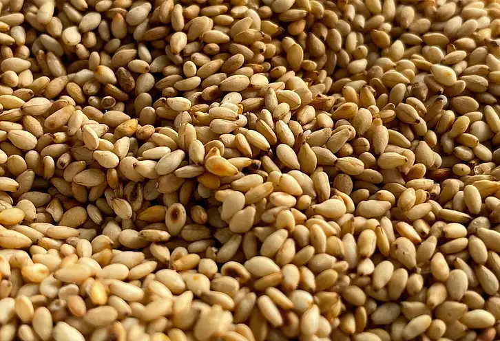 Czy sezam tuczy? Fakty i porady