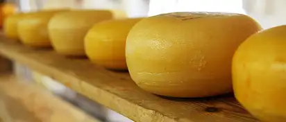 Ile kalorii ma ser żółty? Sprawdź fakty