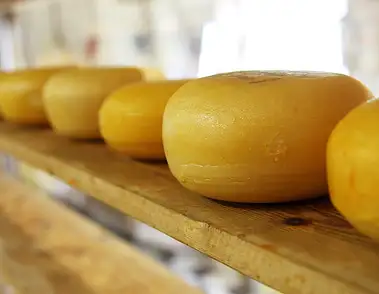 Ile kalorii ma ser żółty? Sprawdź fakty