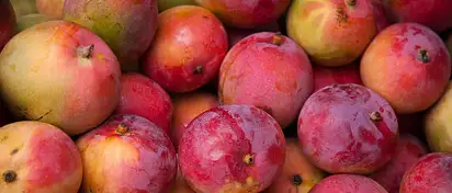 Ile kalorii ma mango? Wartości odżywcze