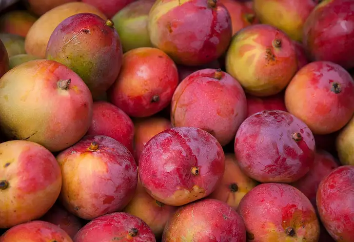 Ile kalorii ma mango? Wartości odżywcze