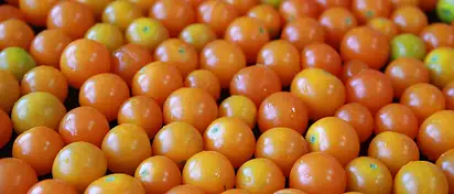 Ile kalorii ma pomidor koktajlowy? Sprawdź teraz