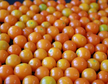 Ile kalorii ma pomidor koktajlowy? Sprawdź teraz