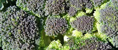 Ile kalorii ma brokuł? Wartości odżywcze i porady kulinarne