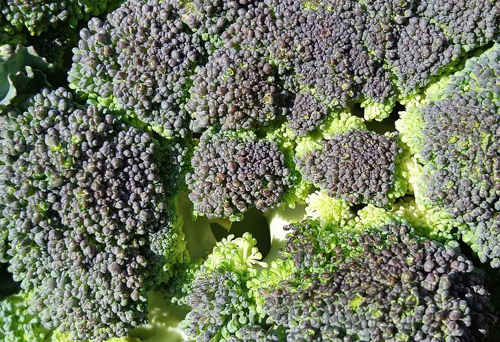 Ile kalorii ma brokuł? Wartości odżywcze i porady kulinarne