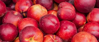 Ile kalorii ma nektarynka? Wartości i korzyści