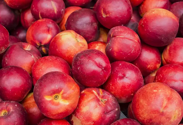 Ile kalorii ma nektarynka? Wartości i korzyści