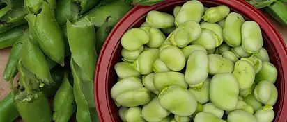 Ile kalorii ma bób? Wartości i porady