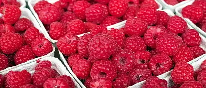 Ile kalorii mają maliny? Wartości i porady