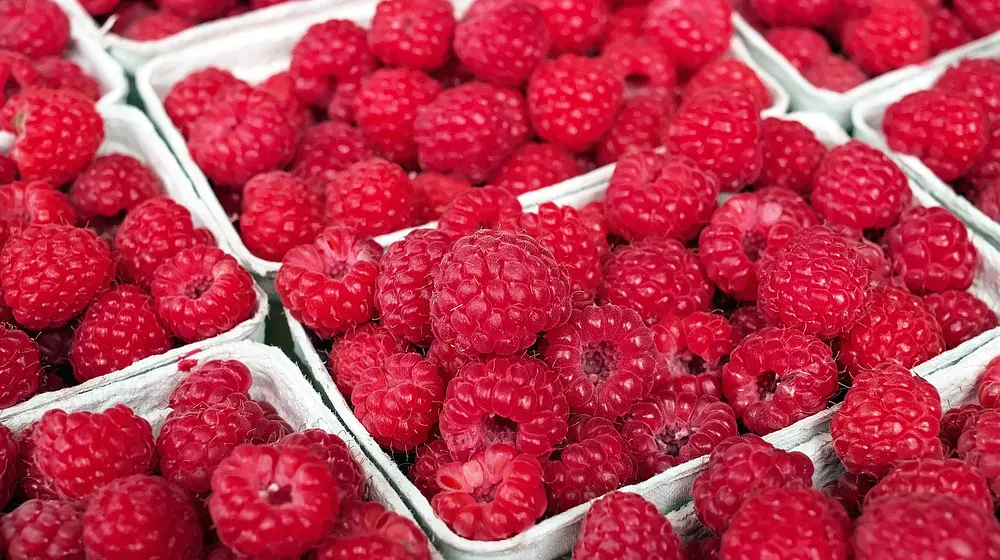 Ile kalorii mają maliny? Wartości odżywcze i porady dietetyczne