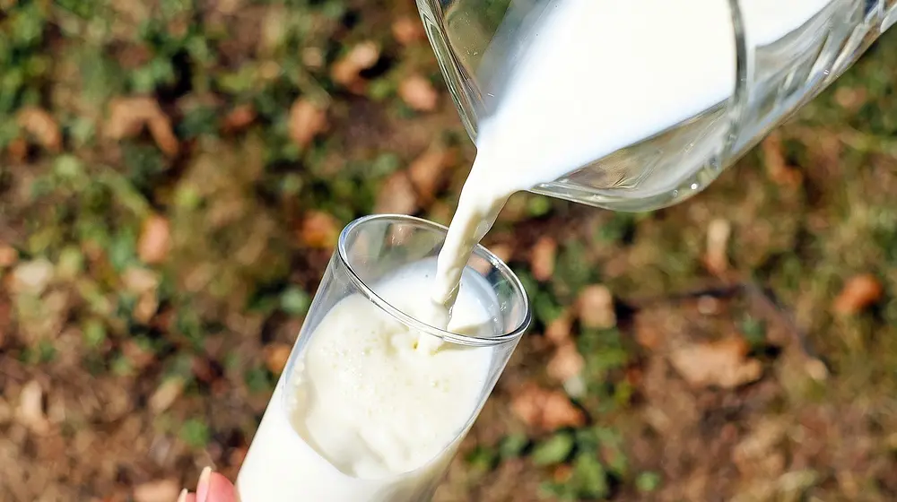 Ile kalorii ma mleko 3,2%? Sprawdź fakty