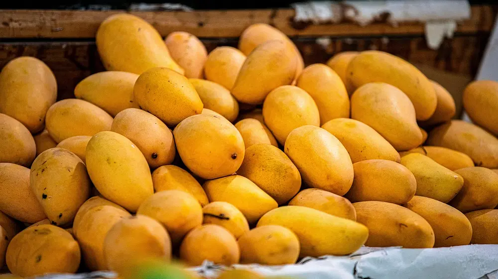 Czy mango tuczy? Obalamy mity o tym owocu